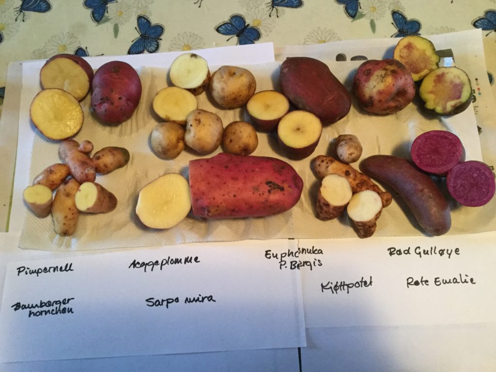 biodynamisk.no