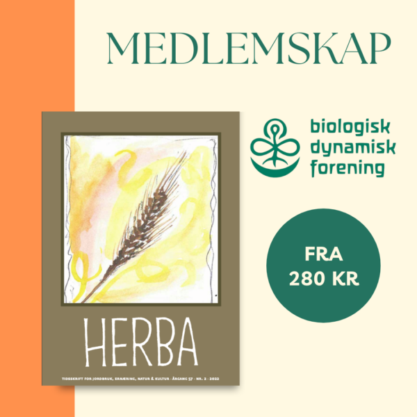 Medlemskap