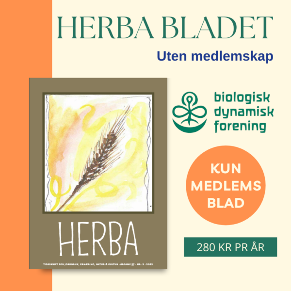 Medlemskap - Bilde 5