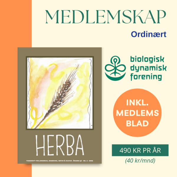 Medlemskap - Bilde 2