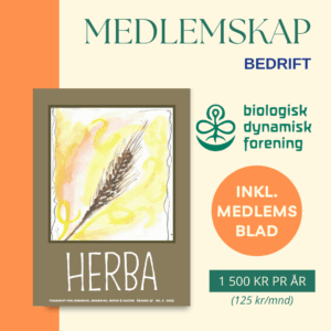 Bedriftsmedlemskap